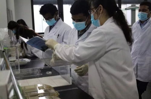 院系介紹2.0 風采展示及微信公眾號 一