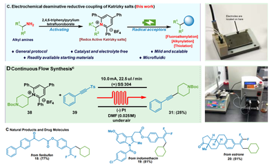 生物與制藥工程學(xué)院郭凱教授團(tuán)隊(duì)在Nature Communications報(bào)道微流場(chǎng)電化學(xué)合成領(lǐng)域新進(jìn)展