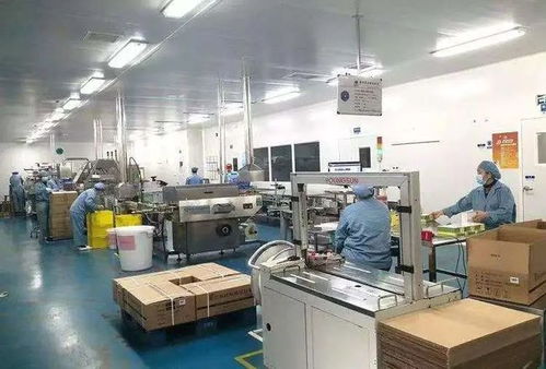 總投資4500萬美元,年產(chǎn)45億粒膠囊 寶應(yīng)外資項目又有重大突破