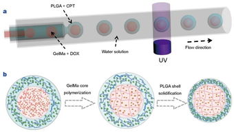 生物材料的多樣性和dds設計 藥物傳遞系統 專刊圖文詳解