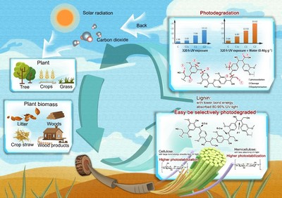 竹子中心在戶外竹基復合材料研發和生物質材料光降解機理方面取得新突破
