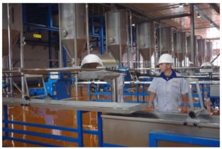 30萬噸高分子復合材料生產研發項目在南充投產