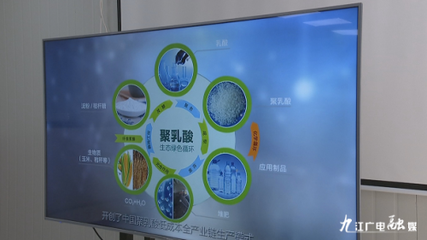 羅小云副省長赴潯調研聚乳酸全產業鏈項目，聚焦生物基材料研發新進展