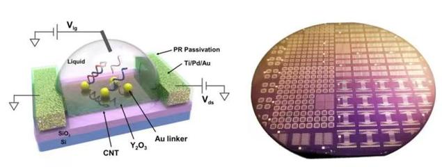 生物基材料技術研發新突破 張志勇教授團隊受邀在國際電子器件大會作會議報告